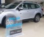 Subaru Forester 2022 - Xe nhập giá tốt 879tr