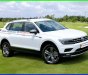 Volkswagen Tiguan 2022 - Màu trắng Châu Âu tuyệt đẹp, có sẵn giao ngay không phải chờ 2.0 Turbo SUV 7 chỗ gầm cao, 2 cầu