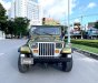 Jeep Wrangler 1996 - Nhập Mỹ, số sàn 2 cầu hàng hiếm. Xe giấy tờ zin, có máy lạnh, bao không hao xăng, chạy 100km/10 lít