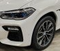 BMW X6 2020 - Xe màu trắng