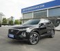 Hyundai Santa Fe 2019 - Biển thành phố