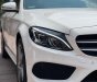 Mercedes-Benz C300 2016 - Màu trắng