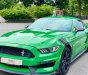 Ford Mustang 2015 - Cần bán xe chính chủ - bản kỷ niệm 50 năm