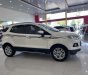 Ford EcoSport 2016 - Bản cao cấp full options, xe thể thao cực đẹp, zin từng con ốc