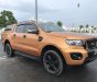 Ford Ranger 2021 - Màu nâu, xe nhập, giá cực tốt