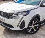 Peugeot 2022 - Xe màu trắng