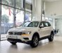 Volkswagen Tiguan 2022 - Khuyến mãi gấp dẫn khi KH đặt cọc ngay trong tháng 2