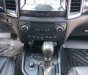 Ford Ranger 2021 - Dòng xe bán tải gầm cao