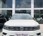 Volkswagen Tiguan 2021 - Volkswagen Tiguan 2021 số tự động tại 87