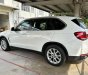 BMW X5 2015 - BMW X5 2015 tại Tp.HCM