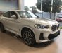 BMW X4 2022 - Đủ màu, giao xe ngay