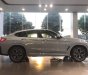 BMW X4 2022 - Đủ màu, giao xe ngay