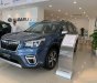 Subaru Forester 2022 - Ưu đãi tiền mặt và phụ kiện đón Tết - Tiết kiệm gần 300 triệu