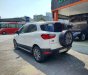 Ford EcoSport 2015 - Xe bao chất