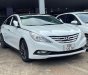 Hyundai Sonata 2010 - Hyundai Sonata 2010 số tự động tại Bình Thuận  