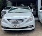 Hyundai Sonata 2010 - Hyundai Sonata 2010 số tự động tại Bình Thuận  