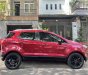 Ford EcoSport 2015 - Phụ kiện đi kèm: Phim cách nhiệt, lót sàn