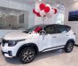 Kia Seltos   2021 - Bán ô tô Kia Seltos sản xuất 2021, màu trắng