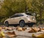 Lexus RX 300 2009 - Xe màu vàng cát, xe nhập