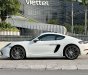 Porsche 718 Cayman 2017 - Bán xe Porsche 718 Cayman sản xuất năm 2017