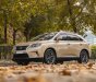Lexus RX 300 2009 - Xe màu vàng cát, xe nhập