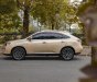 Lexus RX 300 2009 - Xe màu vàng cát, xe nhập
