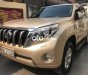 Toyota Land Cruiser Prado TXL 2010 - Bán xe Toyota Land Cruiser Prado TXL sản xuất năm 2010, màu vàng, nhập khẩu Nhật Bản