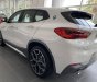 BMW X2 2022 - Bán ô tô BMW X2 sDrive20i năm sản xuất 2022, màu trắng, xe nhập