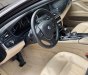 BMW 520i 2017 - BMW 520i model 2017 màu havana nội thất kem