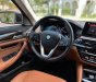 BMW 530i  Luxury Line 2020 - Cần bán BMW 530i Luxury Line sản xuất 2020, màu đen, nhập khẩu