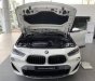 BMW X2 2022 - Bán ô tô BMW X2 sDrive20i năm sản xuất 2022, màu trắng, xe nhập