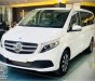 Mercedes-Benz V250 2023 - Xe gia đình 7 chỗ siêu rộng - Nhập khẩu chính hãng - Xe giao ngay