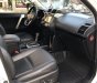 Toyota Land Cruiser Prado 2014 - Bán xe Toyota Land Cruiser Prado TXL 2.7, đời 2014, màu trắng, nhập khẩu