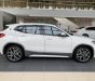 BMW X2 2022 - Bán ô tô BMW X2 sDrive20i năm sản xuất 2022, màu trắng, xe nhập