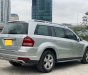 Mercedes-Benz GL 450 2010 - Cần bán Mercedes-Benz GL 450 năm 2010, màu bạc, nhập khẩu như mới giá cạnh tranh