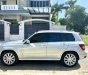 Mercedes-Benz GLK300 0 2009 - Model 2010, xe cọp