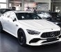 Mercedes-Benz GT53 2022 - 1 xe duy nhất