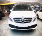 Mercedes-Benz V250 2023 - Xe gia đình 7 chỗ siêu rộng - Nhập khẩu chính hãng - Xe giao ngay