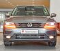 Volkswagen Tiguan Allspace 2022 - Xe Đức Nhập khẩu từ thị trường Bắc Mỹ tặng ngay 100% trước bạ, cơ hội nhận ngay Iphone 13