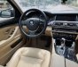 BMW 520i 2017 - BMW 520i model 2017 màu havana nội thất kem