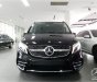 Mercedes-Benz V250 2023 - Xe gia đình 6 chỗ Limousine - Nhập khẩu chính hãng - Có xe giao ngay