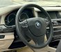 BMW 750Li 2009 - Cần bán BMW 750Li sản xuất năm 2009, màu kem (be), cam kết xe không đâm đụng, không ngập nước