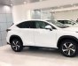 Lexus NX 300 2021 - Bán ô tô Lexus NX 300 năm sản xuất 2021, màu trắng