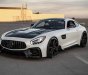 Mercedes-Benz AMG GT 2016 - Xe hai màu