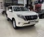 Toyota Land Cruiser Prado 2016 - Xe chính chủ