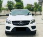 Mercedes-Benz GLE 43 2019 - Xe màu trắng nội thất kem