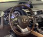 Lexus RX 300 2019 - Xe màu đỏ