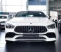 Mercedes-AMG GT 53 2022 - Màu trắng, nhập khẩu nguyên chiếc