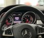 Mercedes-Benz GLE 43 2017 - Màu đỏ, nội thất nâu