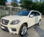 Mercedes-Benz GL 500 2013 - Xe cực chất